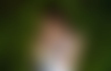 Repentance – When Shame Loses Its Grip (365/31)