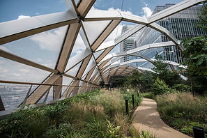 Roof Garden
