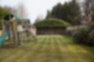well maintained garden of a house