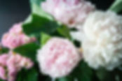 Bouquet of Peonies
