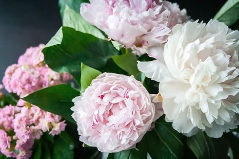 Bouquet of Peonies