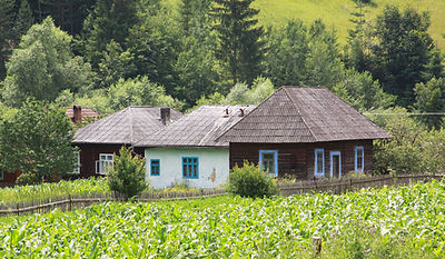 Wooden Huts