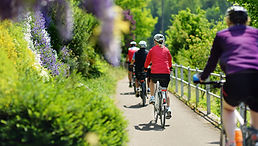 Radfahrer in der Natur