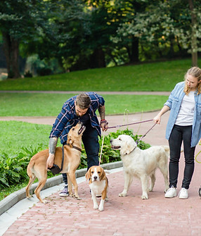 Scarborough Dog Walking Group