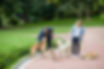 People Walking Dogs