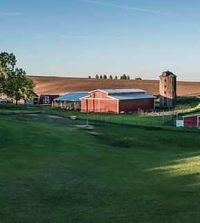 Countryside Farm Scene