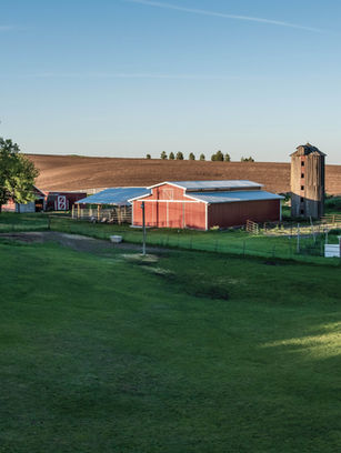 Fall Farm Yard Cleanup in Alberta: What to Clear Before Freeze-Up