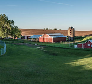 Countryside Farm Scene