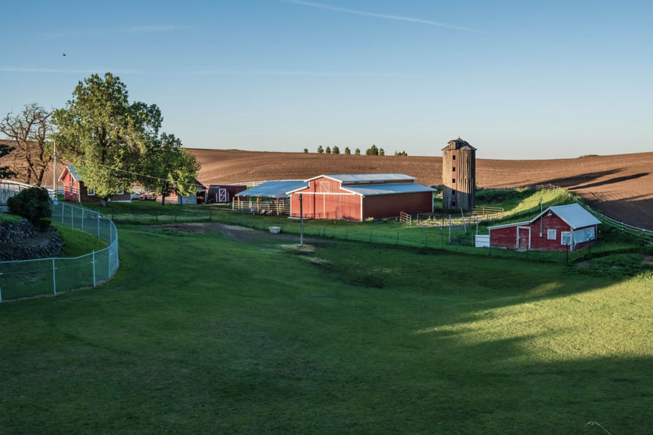 Countryside Farm Scene