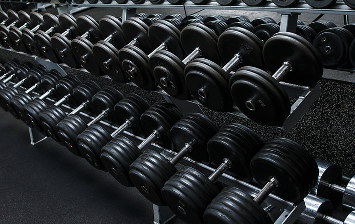 Gym Dumbbell Rack