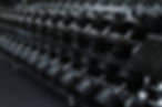 Support pour haltères de gym