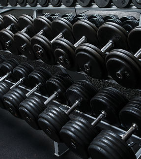 Gym Dumbbell Rack