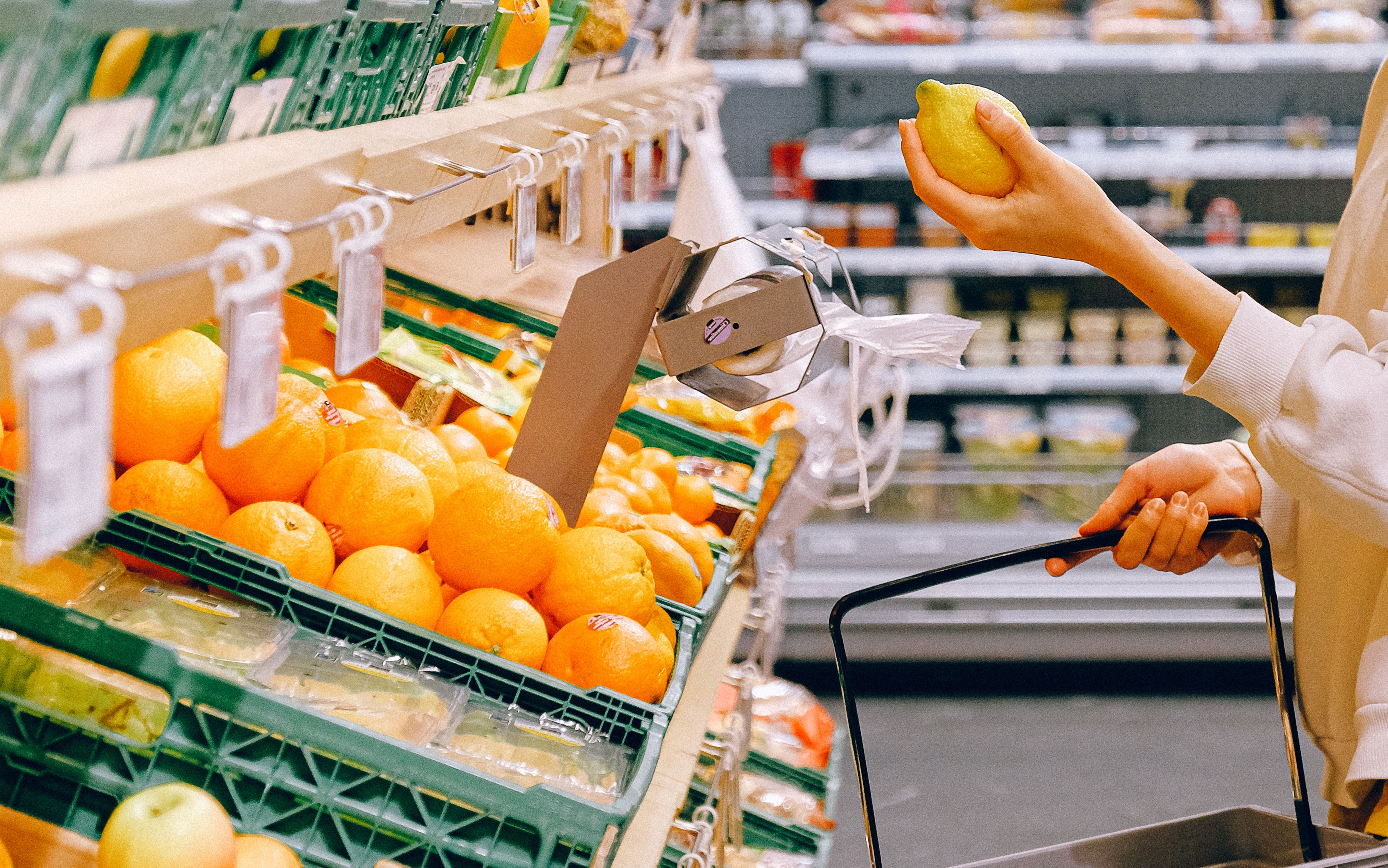Grocery shopping selection of healthy food staples for protein and balanced meals.
