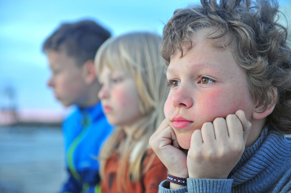 Fight, Flight, Freeze and Fawn: What Those Who Support System Involved Youth Need to Know about Trauma Responses