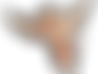 Día del Amor y la Amistad dejaríahasta 500 mdp en derrama económica en Durango: CANACO