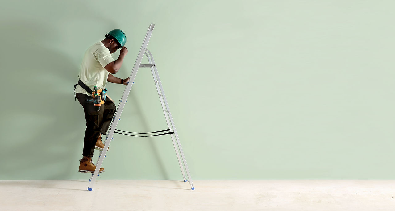 Worker with Ladder