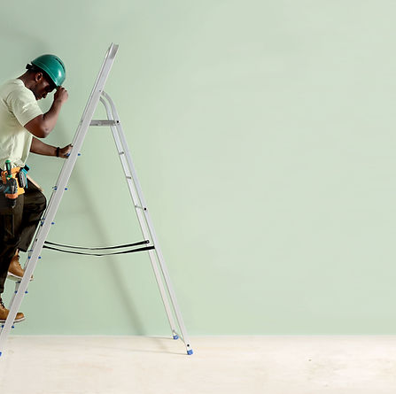 Worker with Ladder