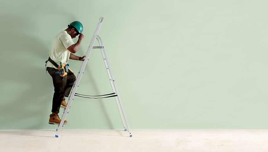 Worker with Ladder