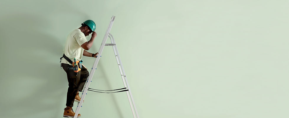 Worker with Ladder