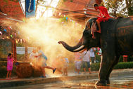 An elephant splashing water at people