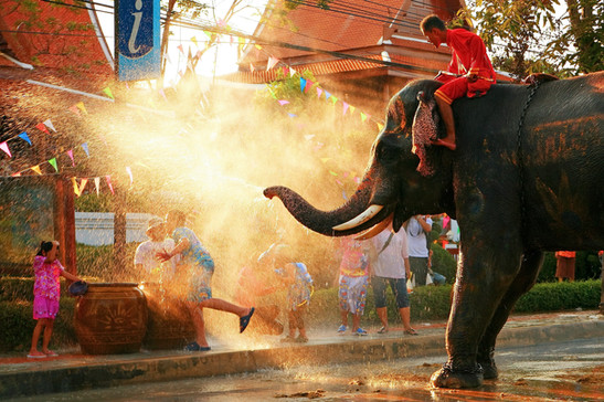 An elephant splashing water at people