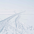 Snowy Tracks Intersection