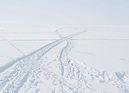 Snowy Tracks Intersection