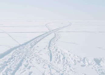 Tracks in Snow