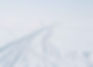 Tracks in Snow