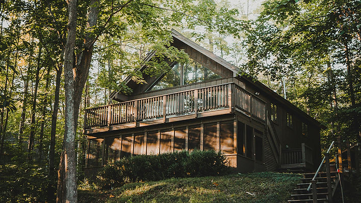 Rustic Forest Cabin
