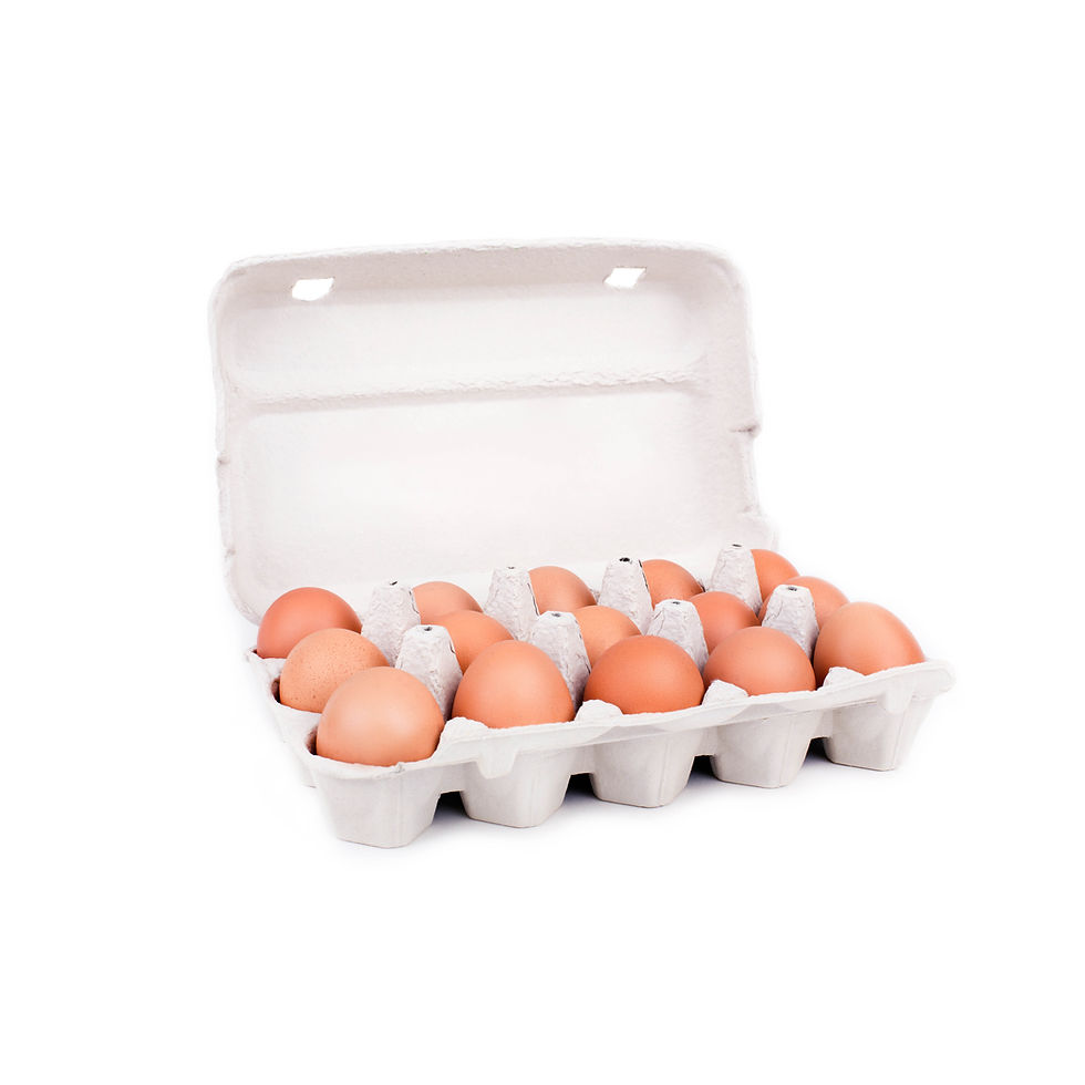 Carton Of Eggs