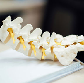 Strong Bones Start Young: and Why It Matters