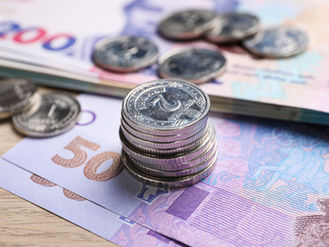 The Brownies- Part-7