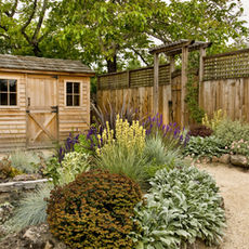 Beautiful landscape design with a shed