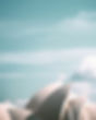 Sydney Opera House