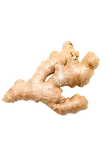 Fresh Ginger Root