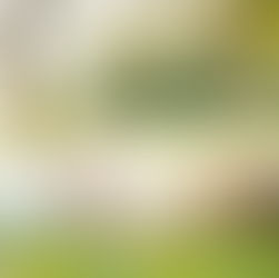 BECOMING YOUR OWN COACH