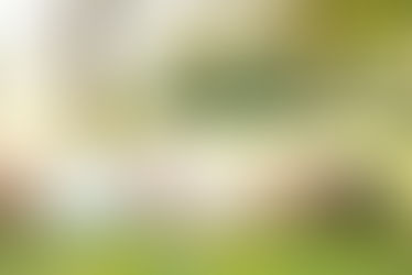 High time to vote for stronger action climate and the environment