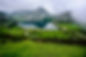 Mountains and Fields