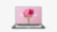Graphic Design
