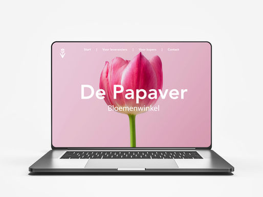 De 5 grootste fouten bij het vertalen van je website naar het Frans