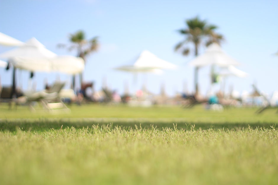 Beach Resort View