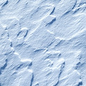 Snow Texture Close-Up