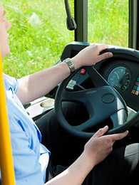 Bus Driver