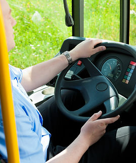 Bus Driver