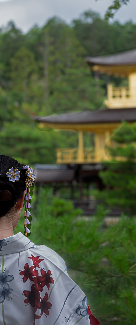 着物池の風景