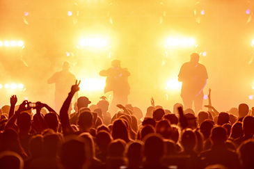 Live Concert Performance