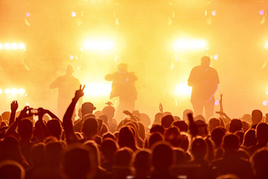 Live Concert Performance