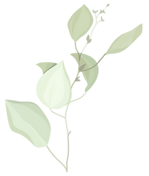 Illustration branche