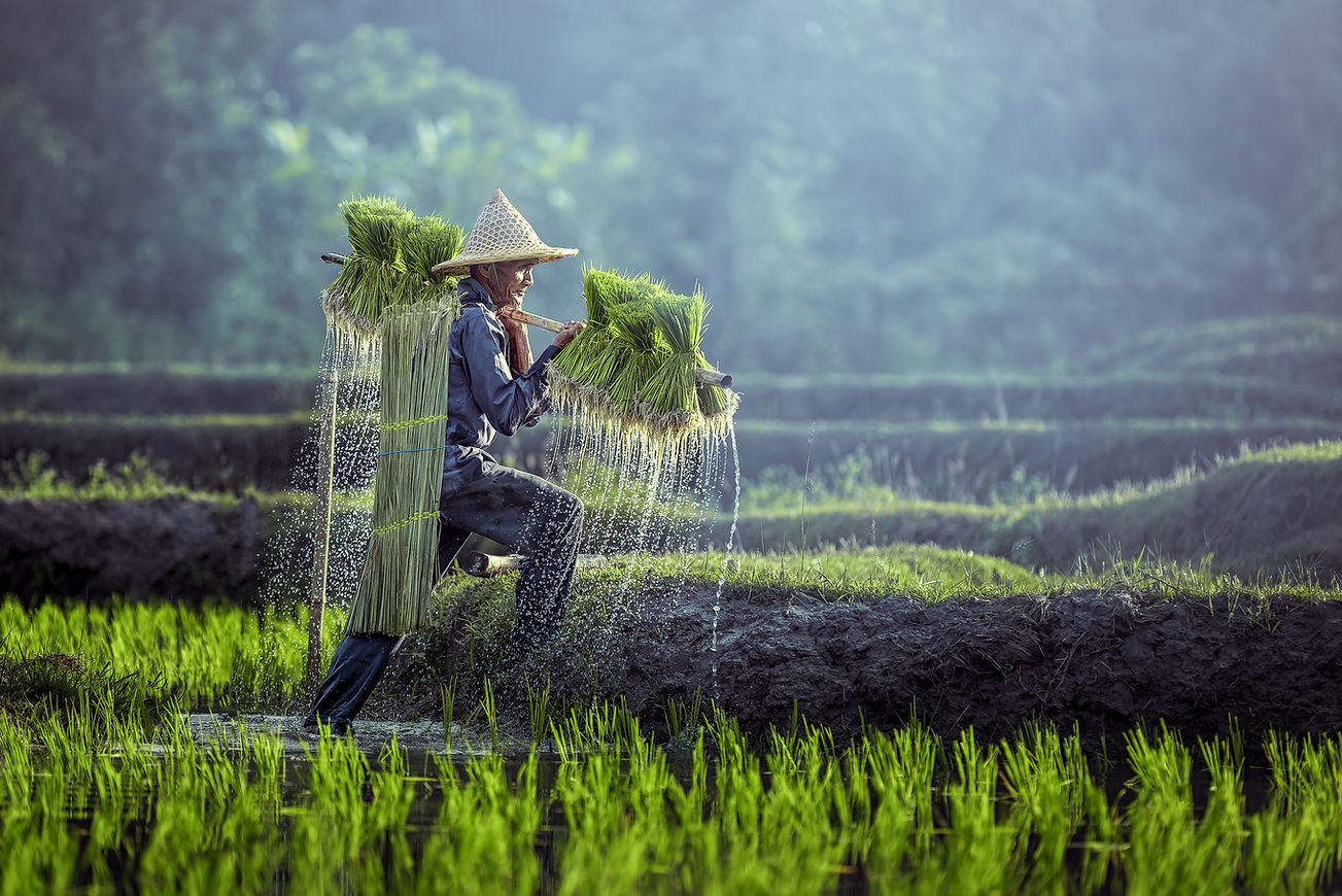 Farming